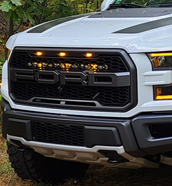 Ford Ford